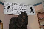 cryptozoology-paranormal 1.jpg
